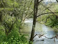 creek1.webp
