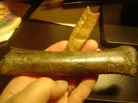 clovis and bone 002.webp