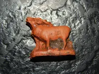 DSCN6081.webp