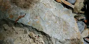 20170528_145445.webp