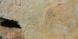 20170528_145422.webp