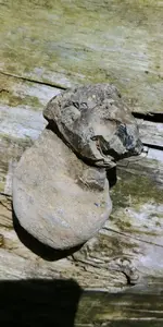 20170528_145317.webp