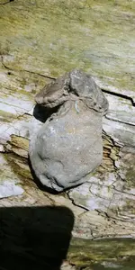 20170528_145322.webp