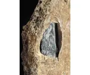 ImageUploadedByTreasureNet.com1496783812.011263.webp
