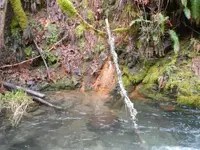 DSCN4604a.webp