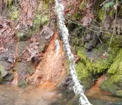 DSCN46042a.webp