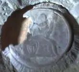 rosette?.webp