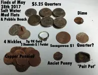 Finds of May 28th 2017.webp