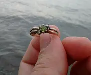Ring Water.webp