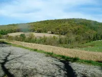 DSCF0007.webp
