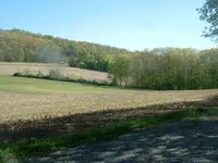 DSCF0010.webp