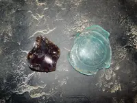 DSCN6049.webp