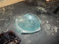 DSCN6052.webp