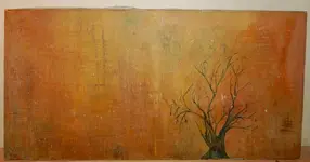 DSCN5858.webp