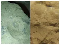 rocks2.webp