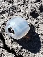 20170513_182234.webp