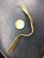 ImageUploadedByTreasureNet.com1493396202.408379.webp