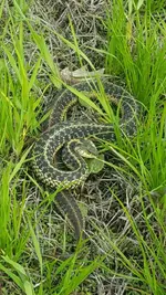 20170528_163027.webp