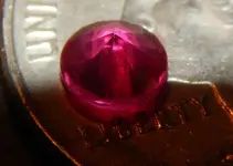 DSCN6178.webp