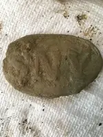 ImageUploadedByTreasureNet.com1493412541.546785.webp