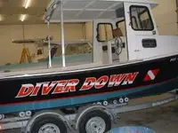 diver down new lttrs1.webp