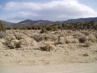 Feild trip 004.webp