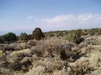 Feild trip 005.webp