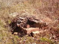 Picture 005.webp