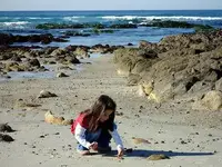 Maddyatbeach.webp