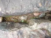 rocks 023.webp