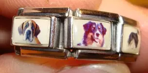 3-5-08 035dogs.webp
