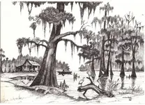 cajuncountry (2).webp