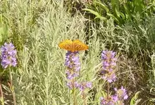 springtime_003.webp