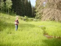 springtime_004.webp