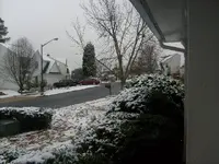snow.webp