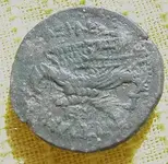 coin back.webp