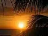 th_Sunshine[1].webp