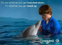 image.webp image.webp