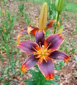 20170606_194929 a.webp