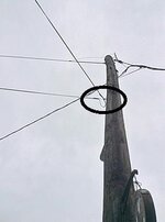 clamp_cable-clamp_strain-relief_on-telephone-pole_TN_postedbyBigCypressHunter_telephone.jpg