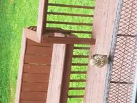 20170606_124128.webp