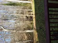 20170329_100242.webp
