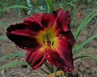 DSCN0167.webp