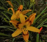 DSCN0168.webp