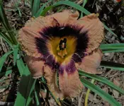 DSCN0172.webp