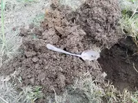 20170519_163926.webp
