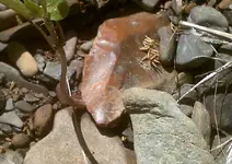 DSCF0006.webp