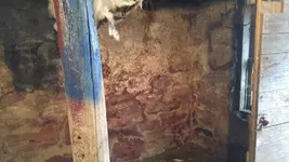 0617171601e.webp