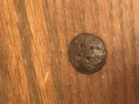 Iron button 2.webp