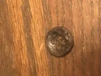 Iron Button.webp